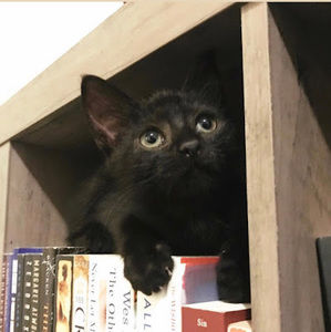 Meet your Posher, Fatima